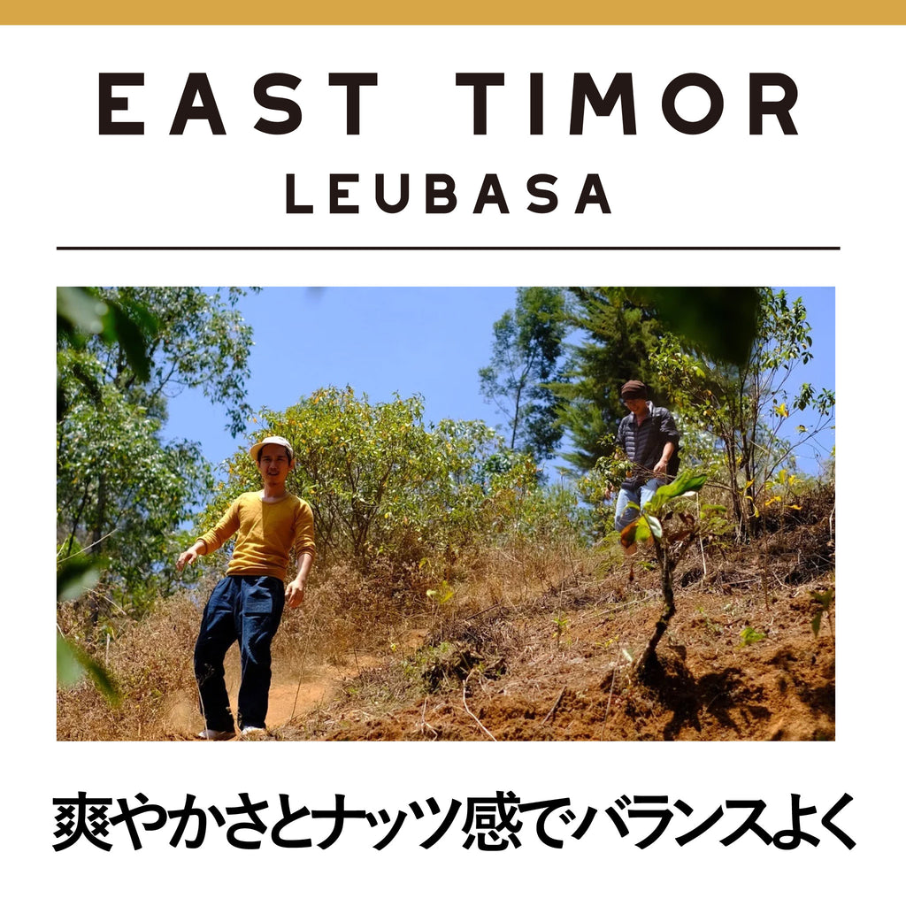 EAST TIMOR Leubasa(2024.04-)