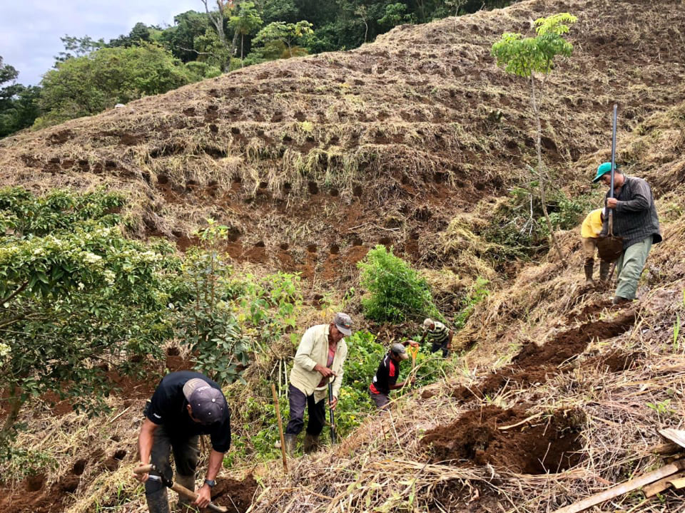 COSTARICA Finca V&G