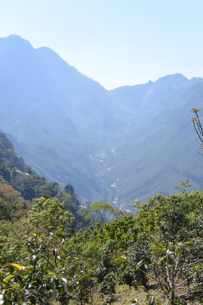 GUATEMALA Terrazas SanRamon