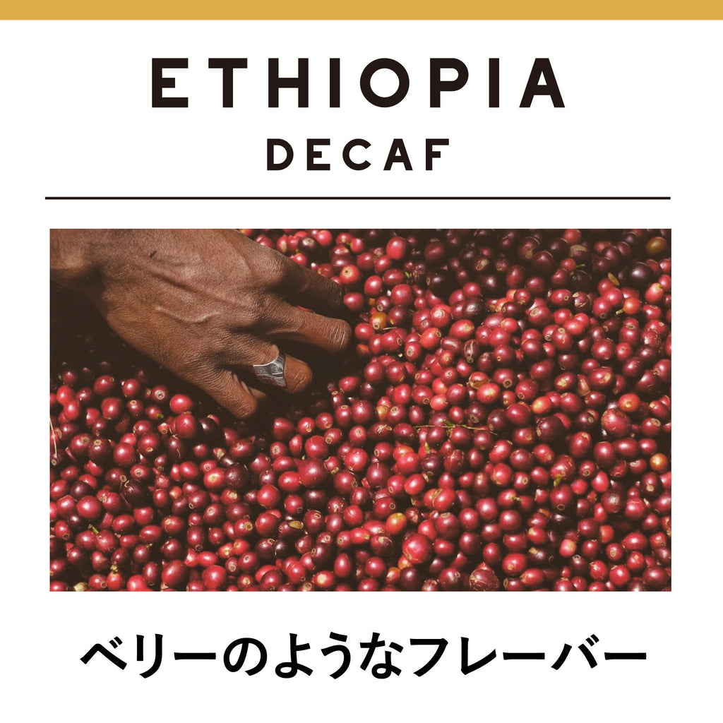 ETHIOPIA DECAF </br><small><small>エチオピア デカフェ 浅煎り</small></small>