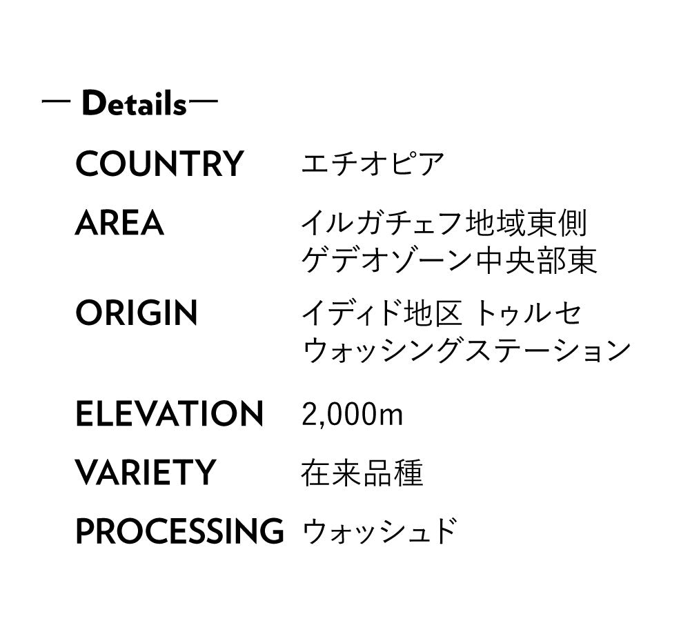 ETHIOPIA Edido Tulse (W)(202507)