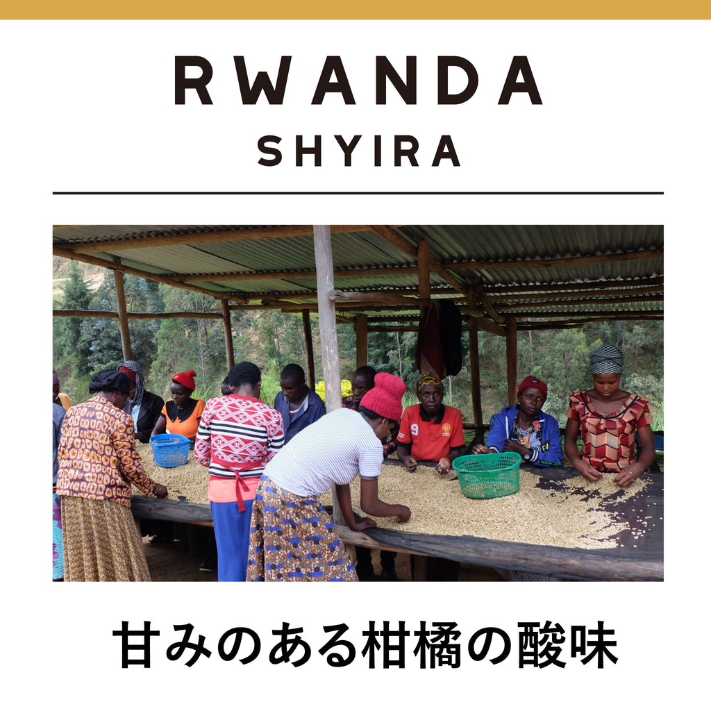 RWANDA Shyira </br><small>ルワンダ　シーラ ウォッシュド　極浅煎り</small>