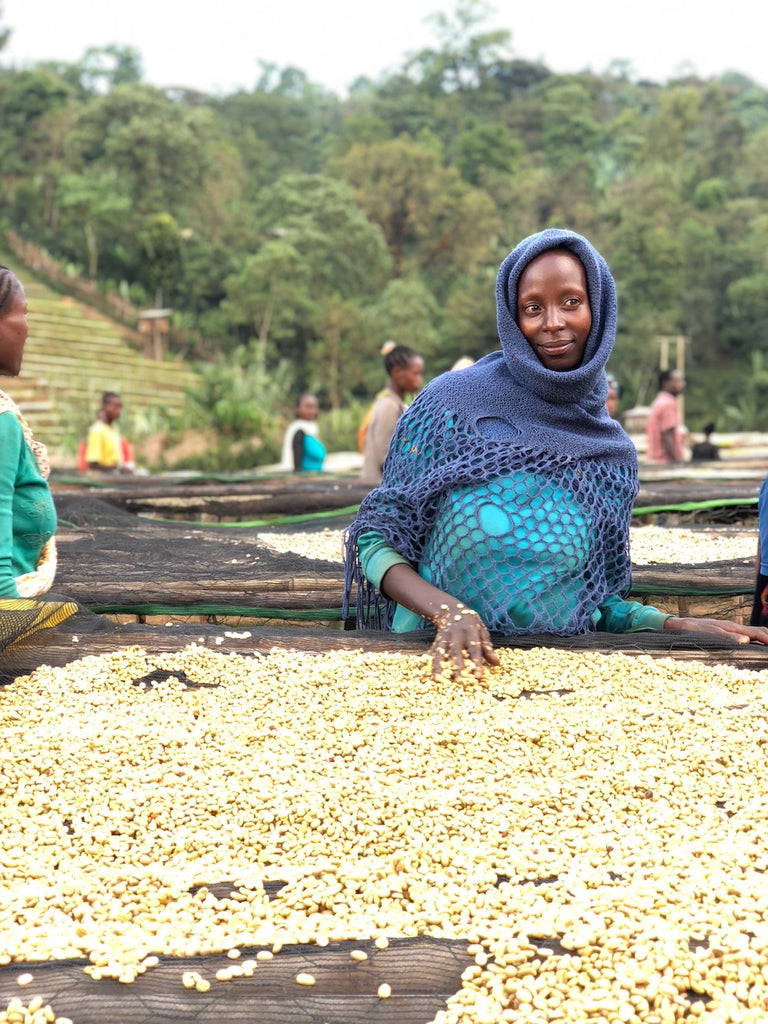 ETHIOPIA Aricha Natural