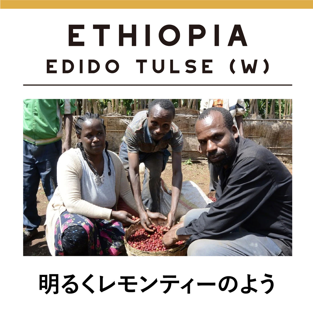 ETHIOPIA Edido Tulse Washed