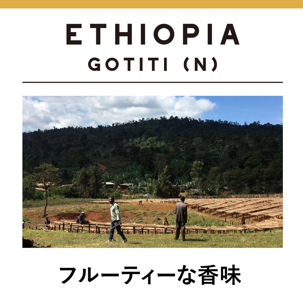 ETHIOPIA Gotiti Natural