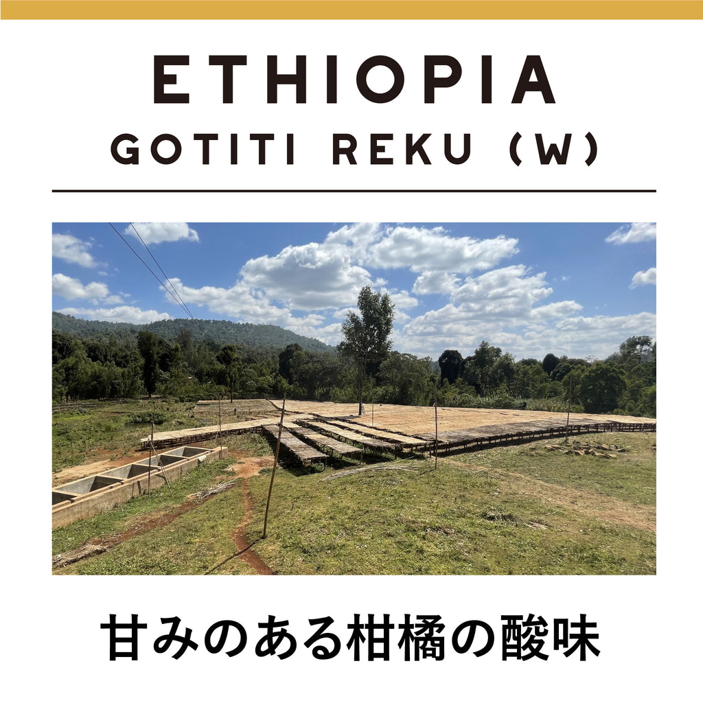 ETHIOPIA Gotiti Reku FW </br><small>エチオピア ゴティティ レク  浅煎り</small>